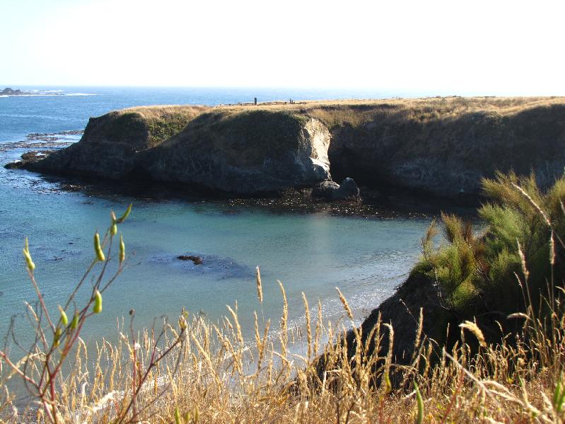 Residency in Mendocino California