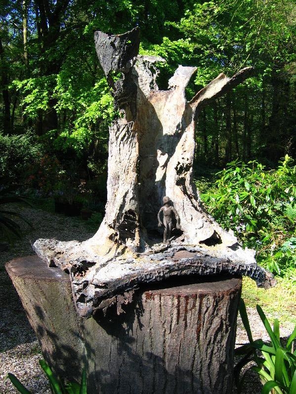 Beslan - tree