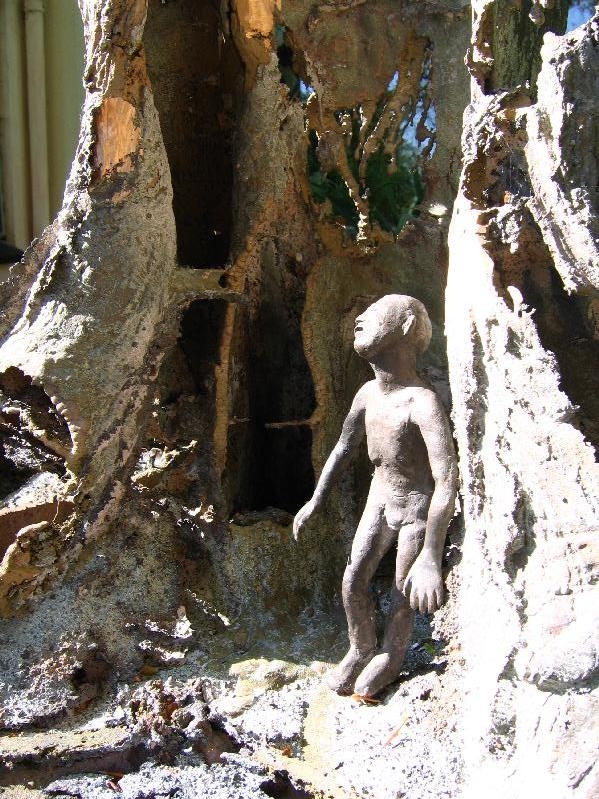 Beslan - tree