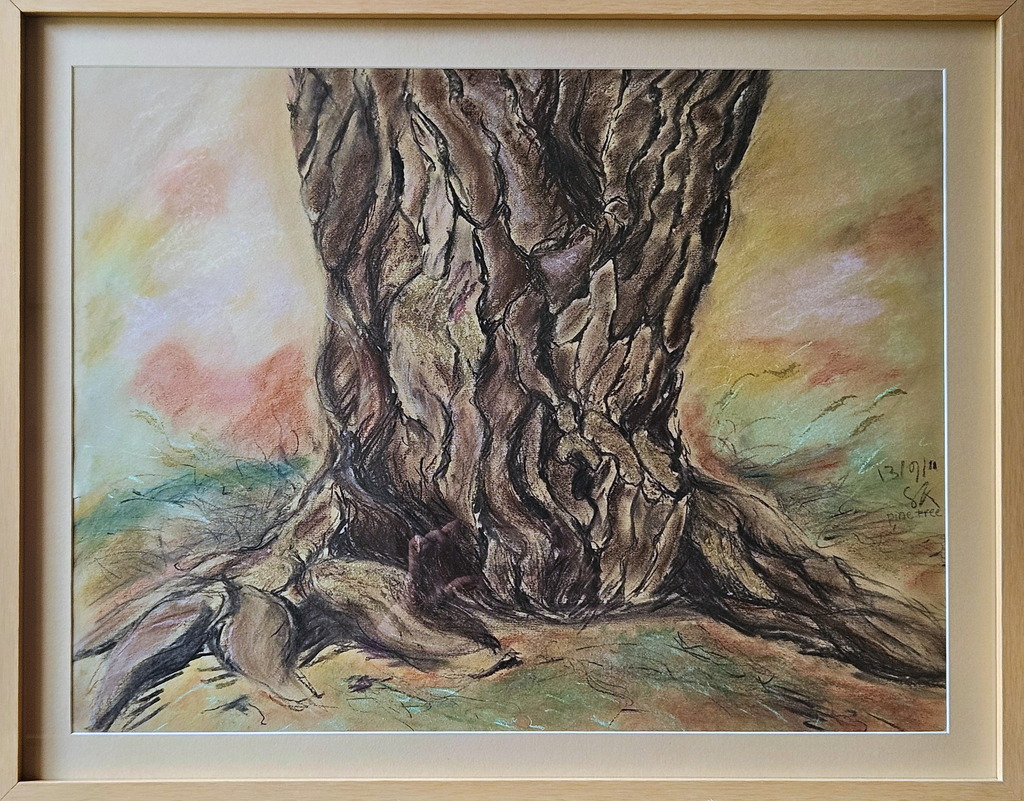 Pine Tree, Mendocino (krijt)