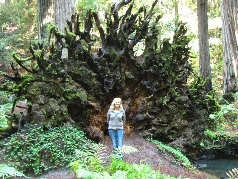 Residency in Mendocino, California