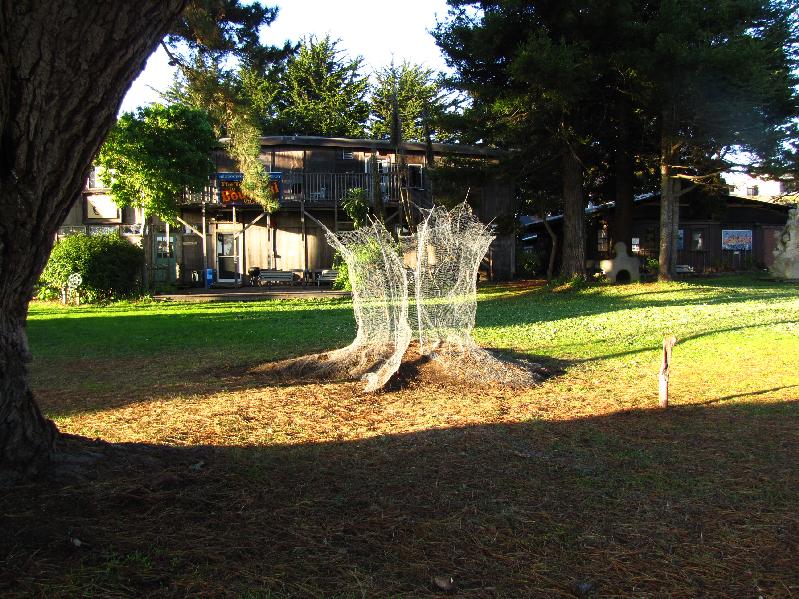 Residency in Mendocino, California