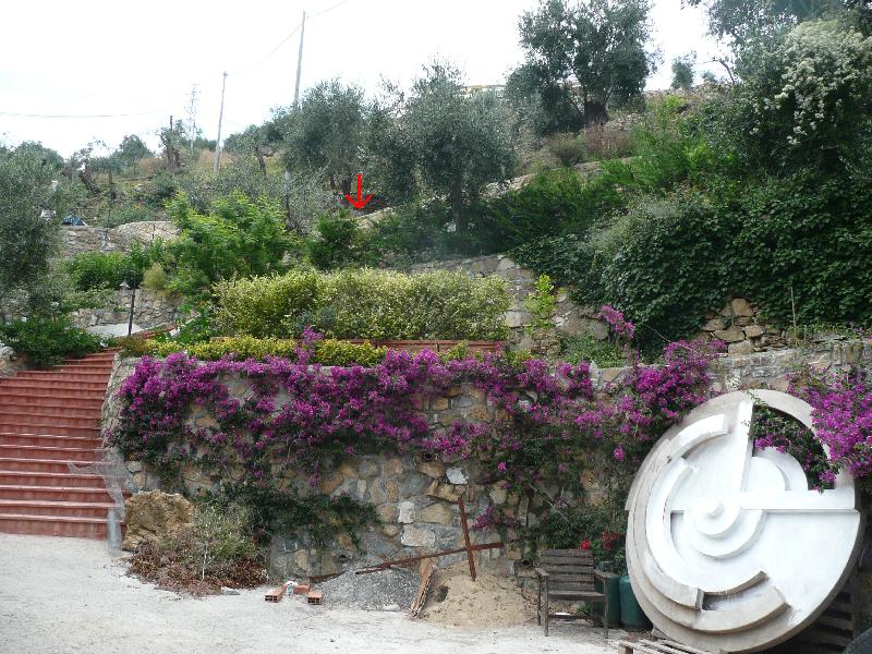 Sculptor meeting Cipressa, Italy