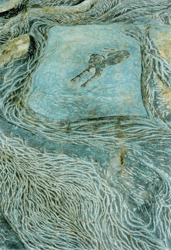 Dog of Griend
